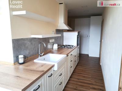 Rent apartment 2+1 Ústí nad Labem, Jana Zajíce č. 3