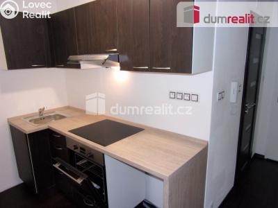 Rent apartment 2+1 Karlovy Vary, Charkovská č. 1
