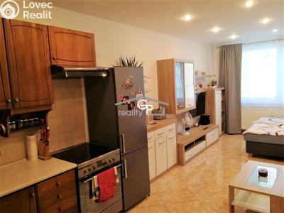 Rent apartment 1+KK České Budějovice, V. Volfa č. 2