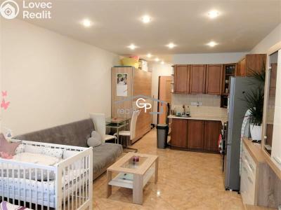 Rent apartment 1+KK České Budějovice, V. Volfa č. 4