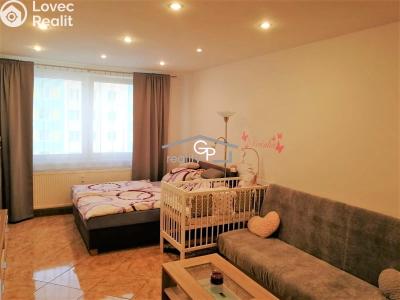 Rent apartment 1+KK České Budějovice, V. Volfa č. 6