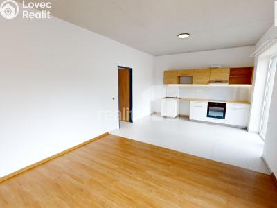 Rent apartment 2+KK Humpolec, V Brance č. 1