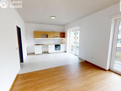 Rent apartment 2+KK Humpolec, V Brance č. 2