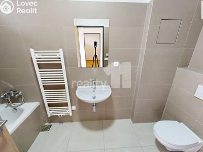 Rent apartment 2+KK Humpolec, V Brance č. 5