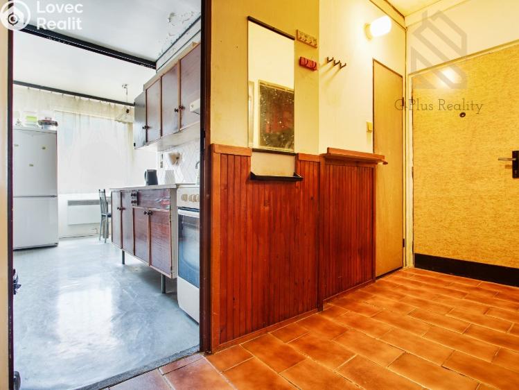 Prodej bytu 2+1 Dobkovice č. 11