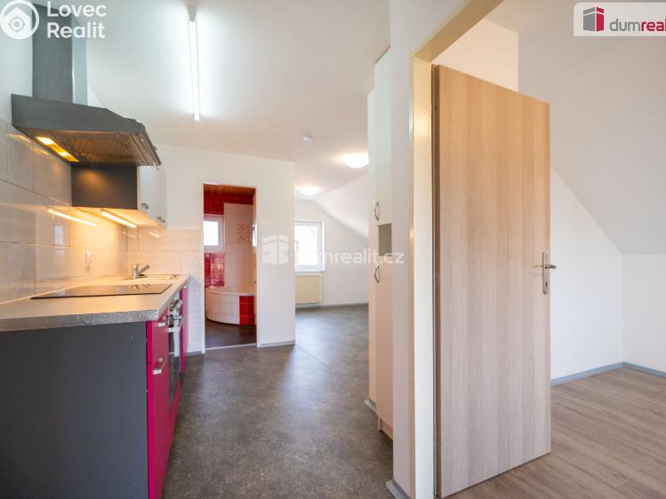 Prodej rodinného domu České Budějovice, Kosmova č. 47