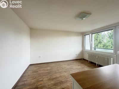 Rent apartment 1+KK Pardubice, Křičkova 417 č. 4