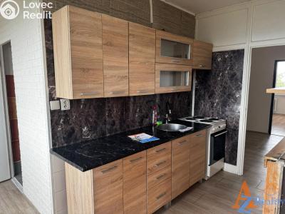 Rent apartment 3+1 Kadaň č. 1