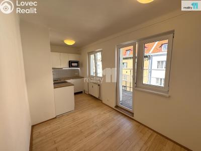Rent apartment 1+1 Praha 3, V Horní Stromce č. 3