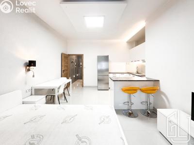 Rent apartment 1+KK Praha, Sokolovská č. 1