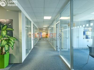Rent office space Hustopeče, Herbenova č. 1