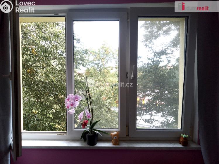 Pronájem bytu 2+1 Chodov, Revoluční č. 8
