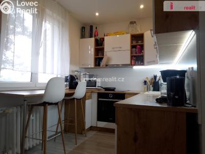 Rent apartment 2+1 Chodov, Revoluční č. 1