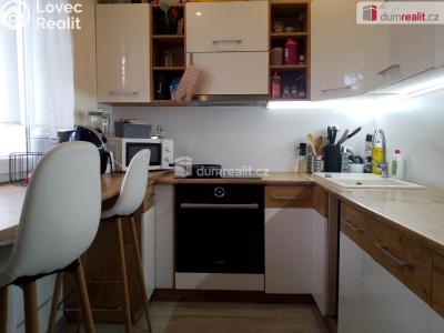 Rent apartment 2+1 Chodov, Revoluční č. 3