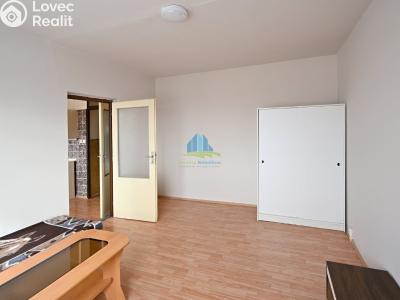 Rent apartment 1+1 Františkovy Lázně, Husitská č. 4