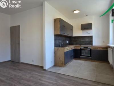 Rent apartment 2+KK Tisová, Tisová č. 1