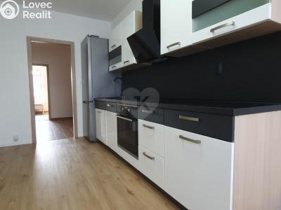 Sale apartment 3+1 Teplice, Přítkovská č. 2