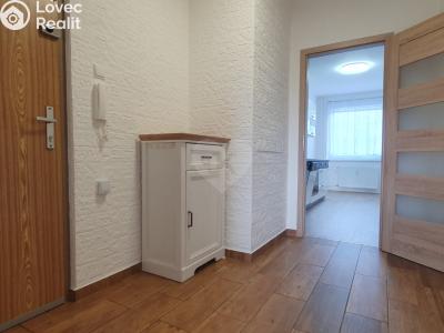 Sale apartment 3+1 Teplice, Přítkovská č. 3