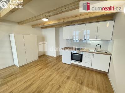 Rent apartment 1+KK Praha 5, Na Valentince č. 2
