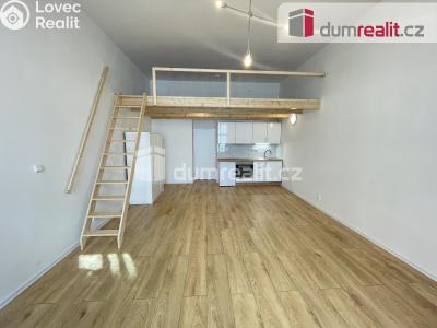 Rent apartment 1+KK Praha 5, Na Valentince č. 3