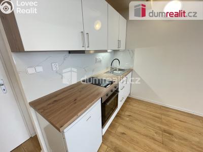Rent apartment 1+KK Praha 5, Na Valentince č. 4
