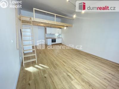 Rent apartment 1+KK Praha 5, Na Valentince č. 5