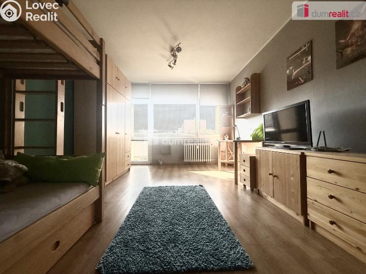 Pronájem bytu 3+1 Ústí nad Labem, Větrná č. 6