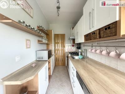 Rent apartment 3+1 Ústí nad Labem, Větrná č. 1