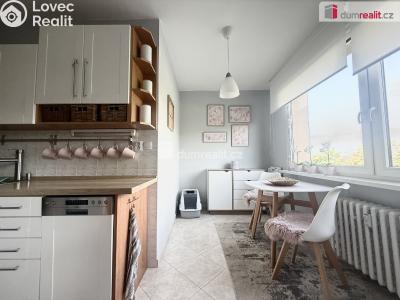 Rent apartment 3+1 Ústí nad Labem, Větrná č. 2