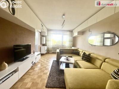 Rent apartment 3+1 Ústí nad Labem, Větrná č. 3