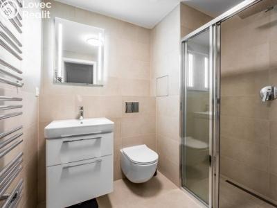 Rent apartment 2+KK Praha, Na Valentince č. 4