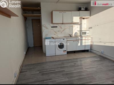 Rent apartment 1+KK Ústí nad Labem, Hoření č. 1