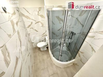Rent apartment 1+KK Ústí nad Labem, Hoření č. 5