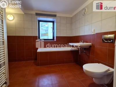 Rent apartment 3+KK Kralupy nad Vltavou, Rybova č. 6
