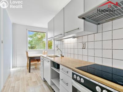 Sale apartment 3+1 Ústí nad Labem, Seifertova č. 12