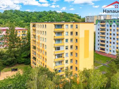 Prodej bytu 1+KK Ústí nad Labem, Neštěmická č. 1