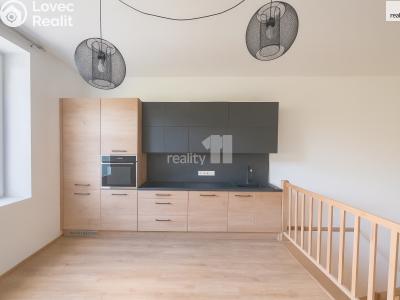 Rent apartment 3+KK Černý Důl č. 1