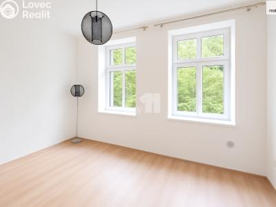 Rent apartment 3+KK Černý Důl č. 2