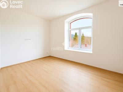 Rent apartment 3+KK Černý Důl č. 3