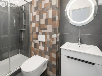 Rent apartment 3+KK Černý Důl č. 4