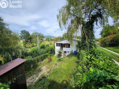 Sale hut Dolany č. 1