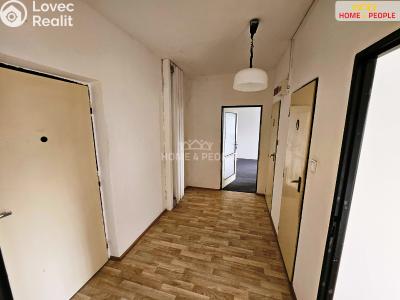 Rent apartment 2+1 Praha 6, Čílova č. 5