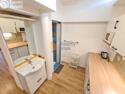 Rent apartment 1+1 Brno, Vodní č. 1