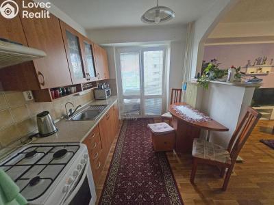 Sale apartment 2+1 Frýdek-Místek, Janáčkova č. 4