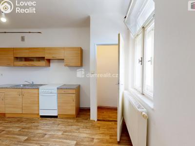 Rent apartment 2+1 Opava, Dolní náměstí č. 5