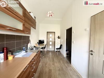 Rent apartment 1+1 Bystřany, Pražská č. 1