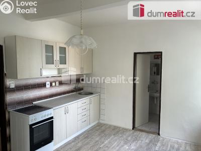 Rent apartment 1+1 Kutná Hora, Vítězná č. 2