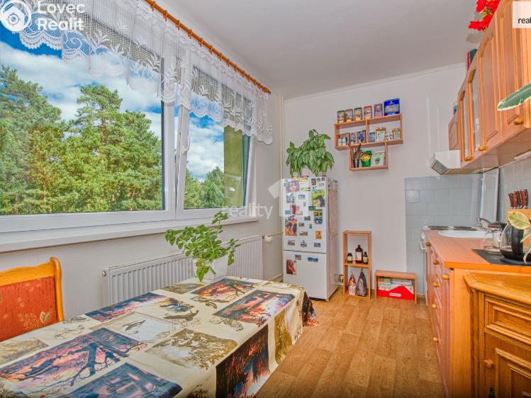 Prodej bytu 1+1 Stráž pod Ralskem, Máchova č. 7