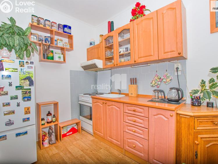Prodej bytu 1+1 Stráž pod Ralskem, Máchova č. 9