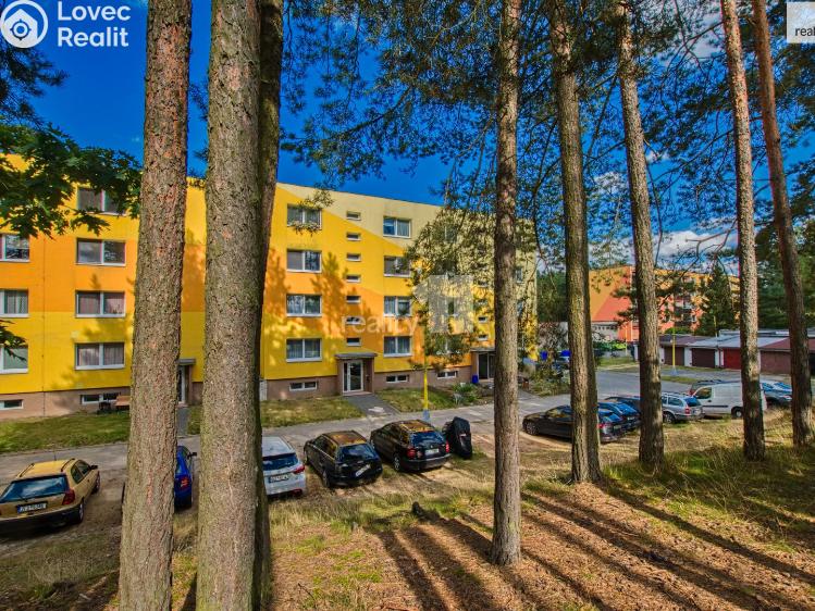 Prodej bytu 1+1 Stráž pod Ralskem, Máchova č. 21